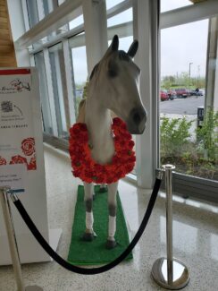 Races for the Roses 2022 - Cecil County, MD